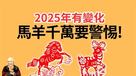 2025年生肖|2025年，12生肖運勢詳解